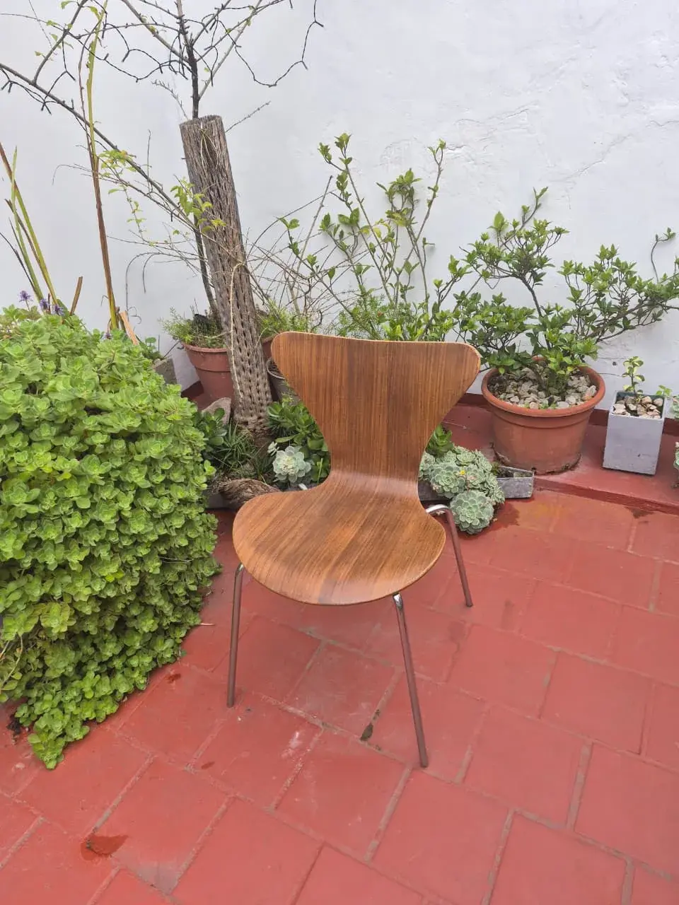 Silla Serie 7 — foto 2