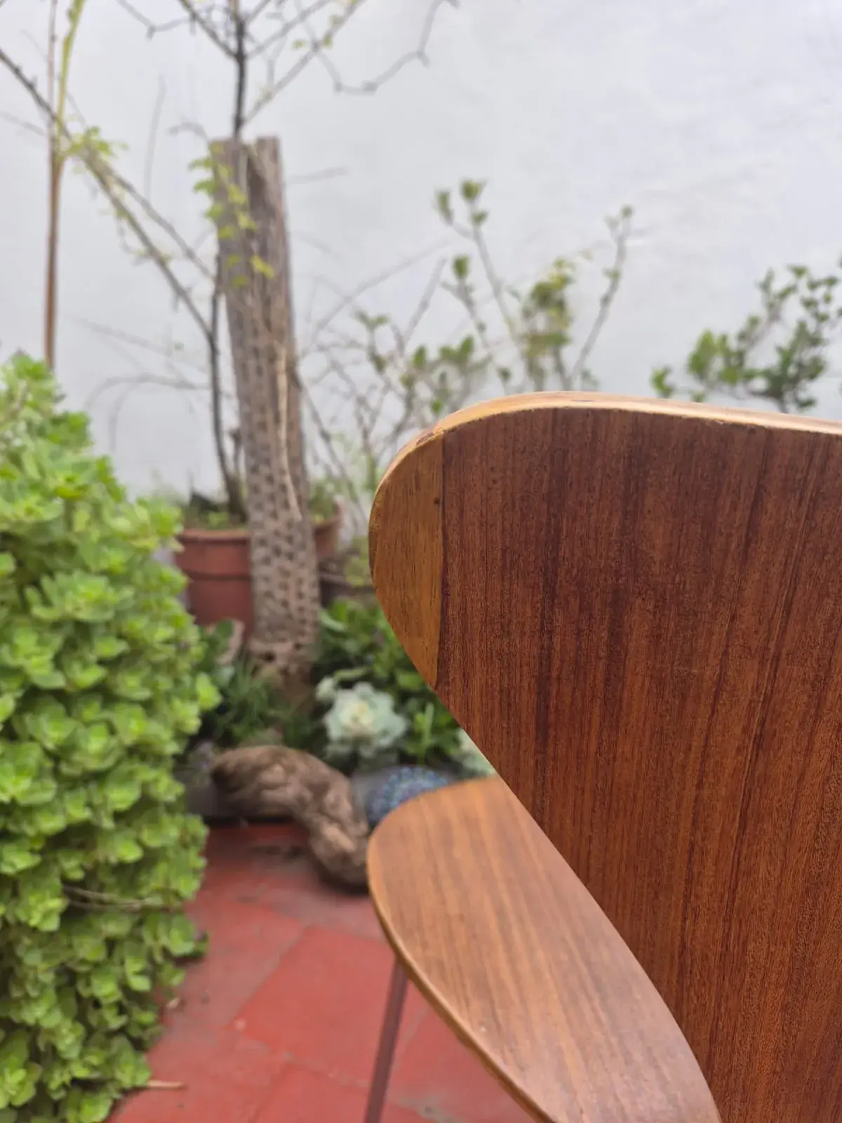 Silla Serie 7 — foto 5