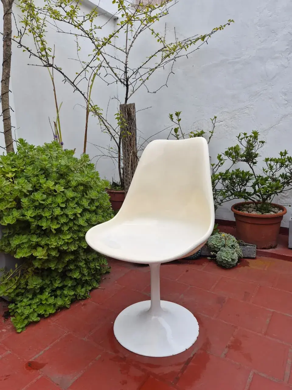 Silla Tulip