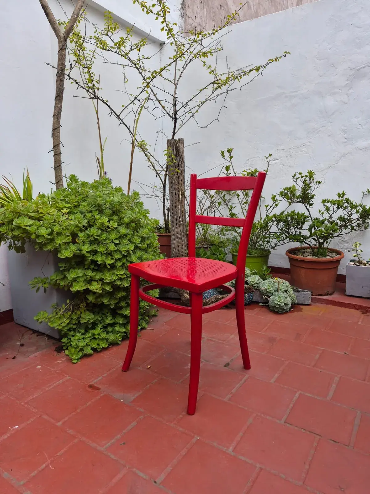 Silla roja — foto 2
